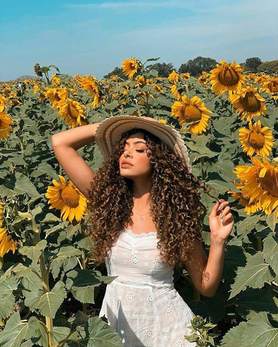 Moda Campo de Girassóis 🌻