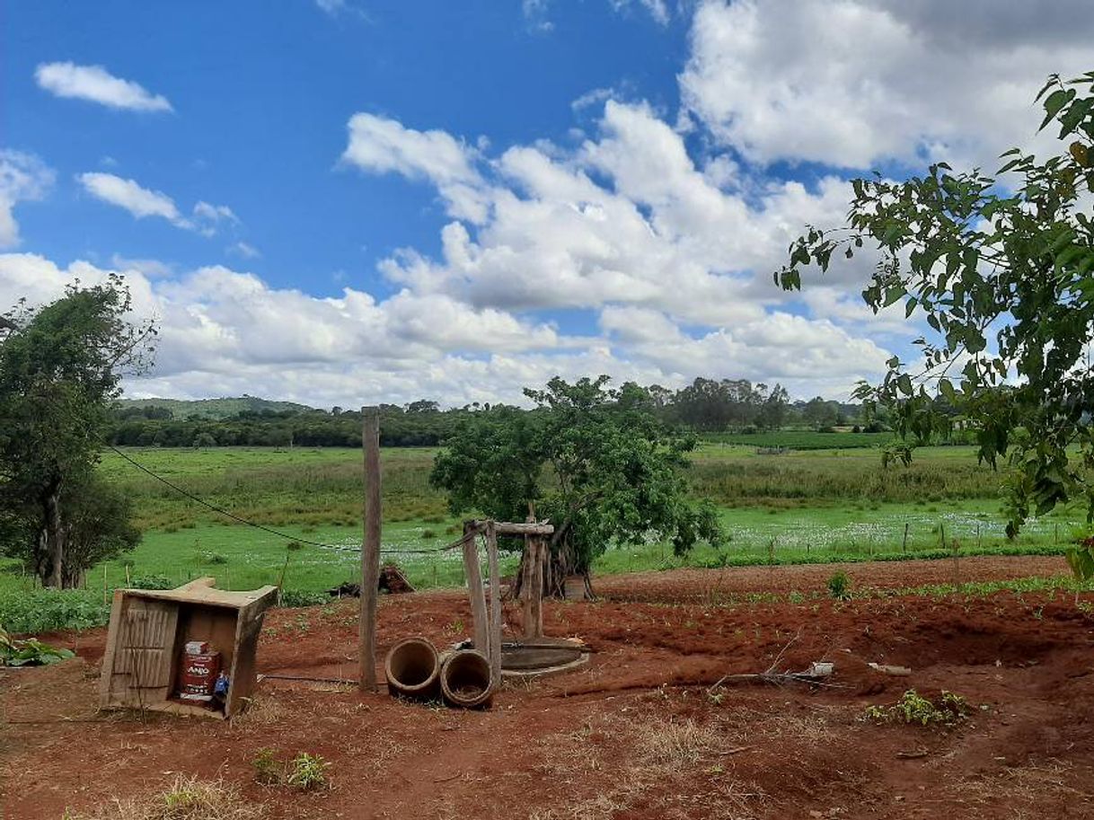 Place Minas Gerais