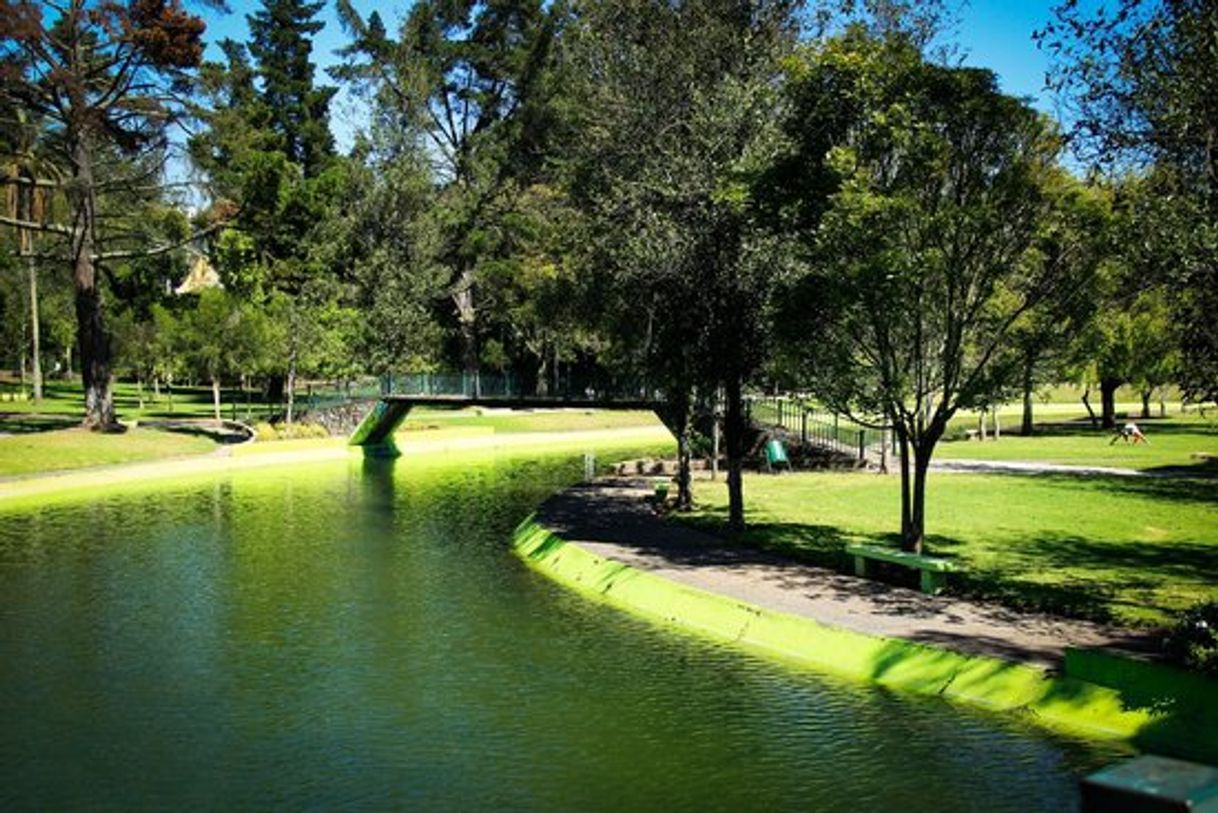 Lugares Parque La Carolina.