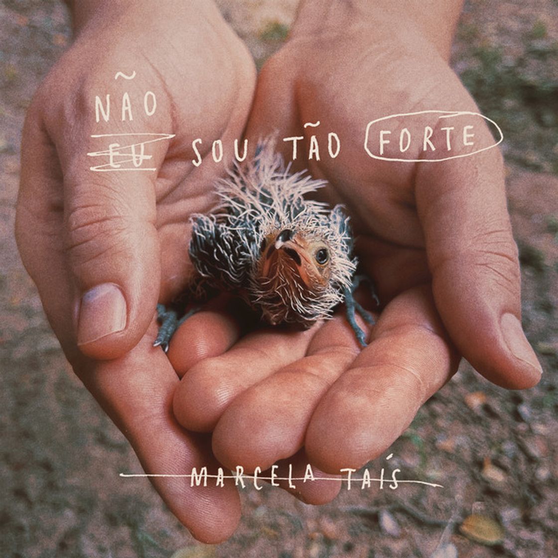 Canción Coração Humano