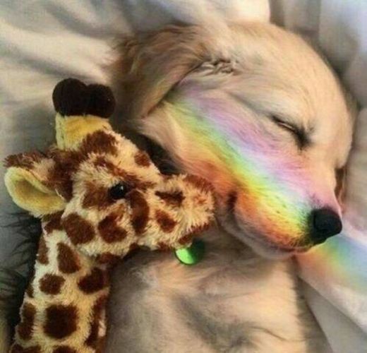 😍🏳️‍🌈