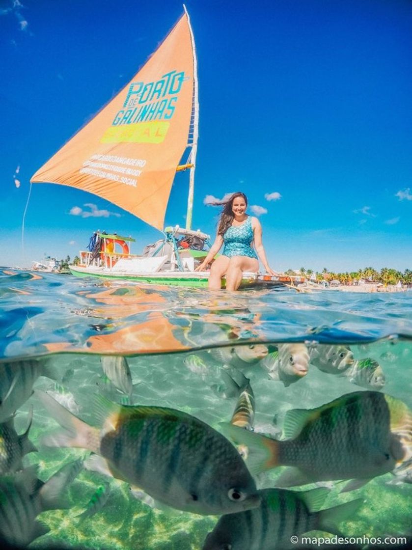 Moda Porto de galinhas ⛱