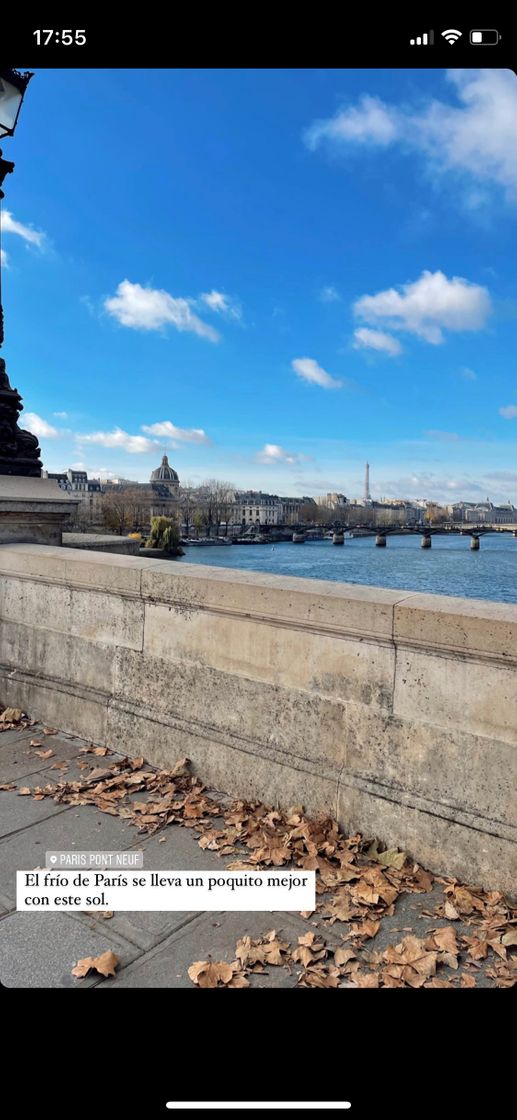 Lugares Pont Neuf