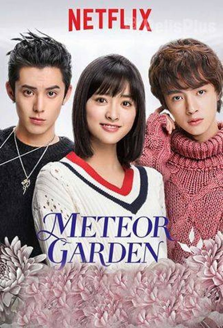 Serie Jardín de meteoros (Meteor Garden)