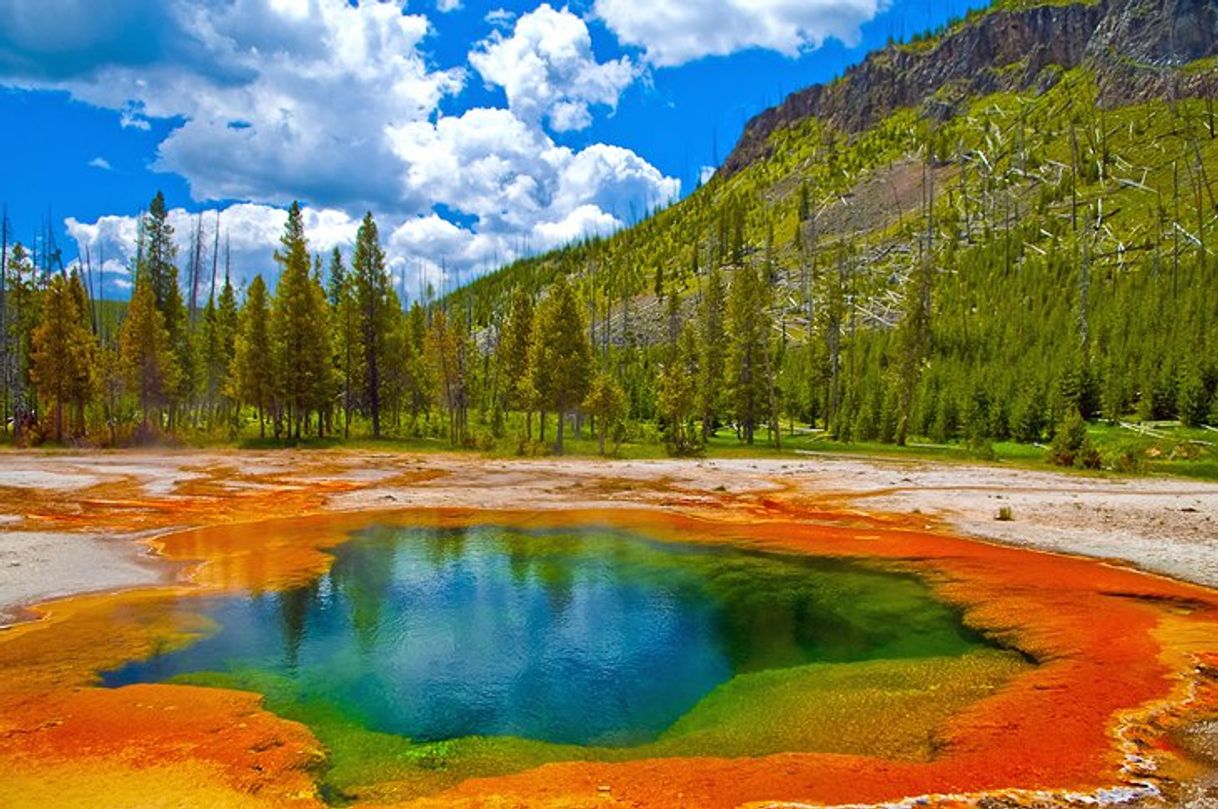 Lugar Yellowstone National Park