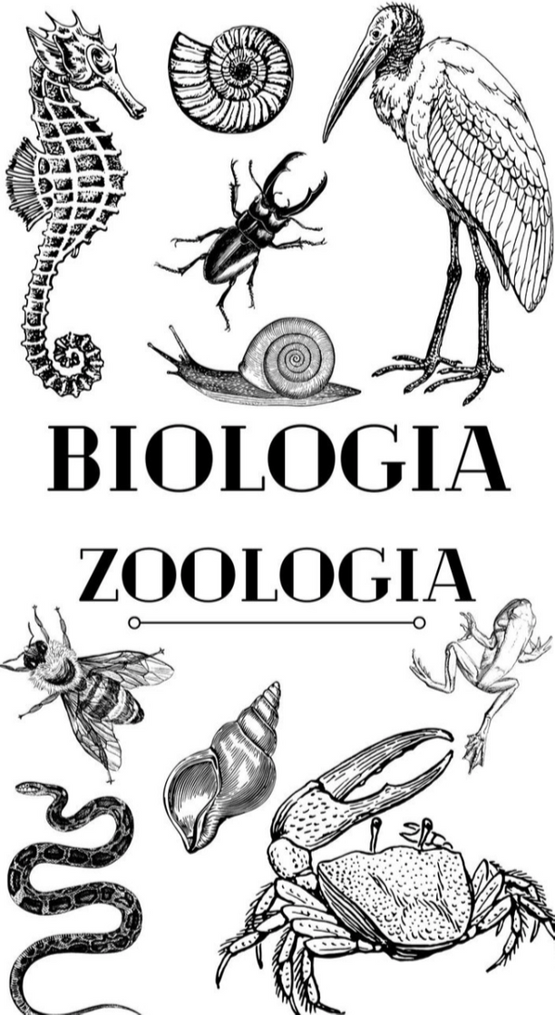 Moda Biologia e zoologia 