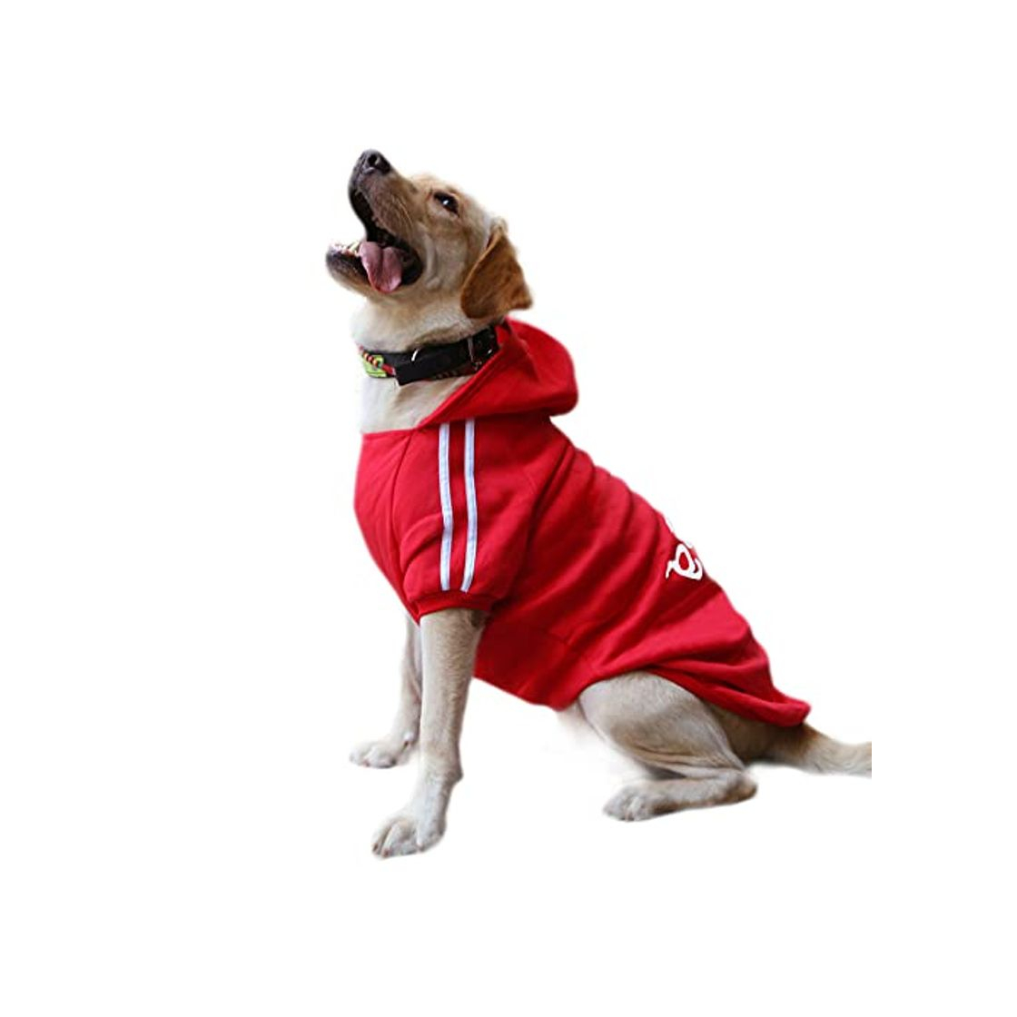 Fashion DULEE Ropa Perro Grande