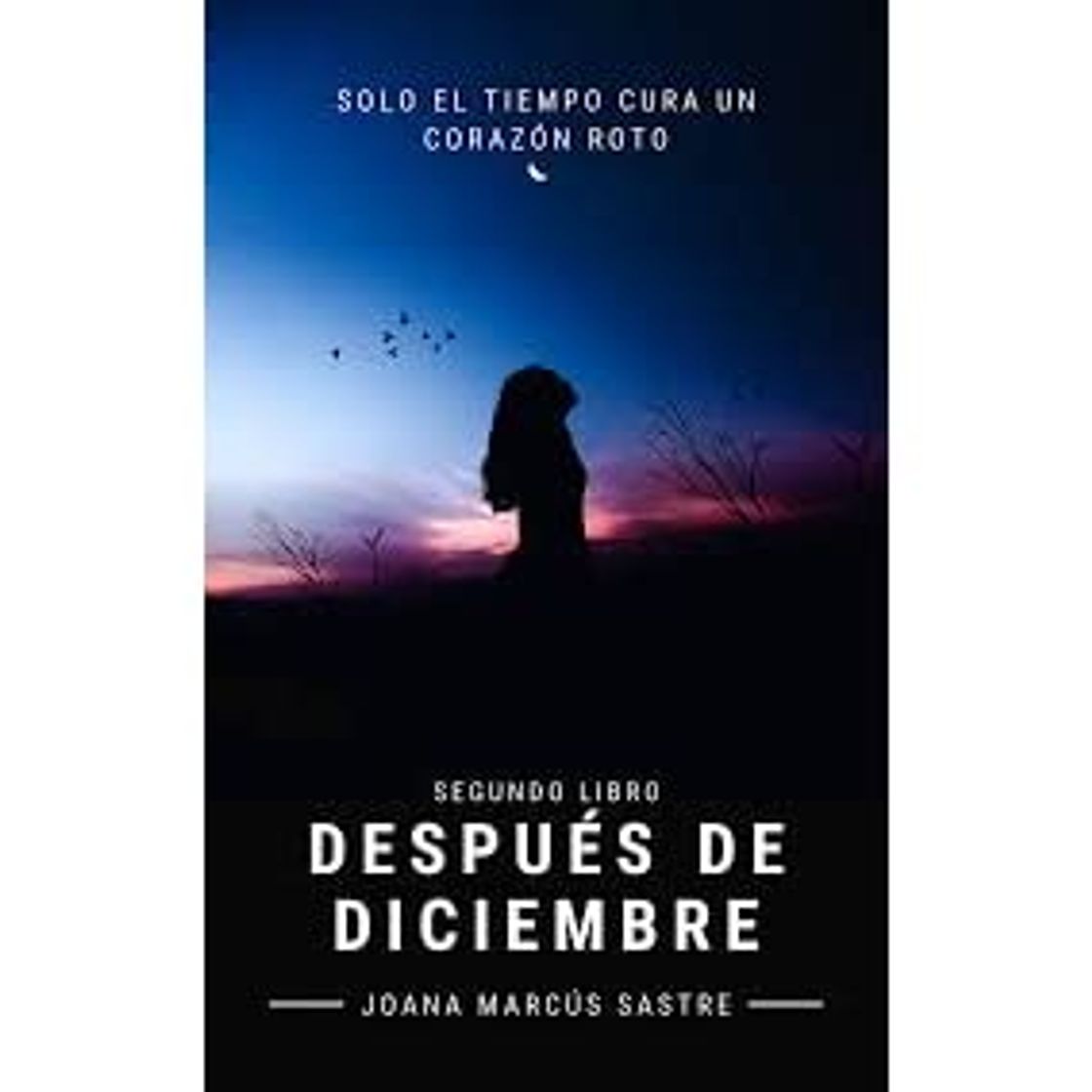 Antes de diciembre 