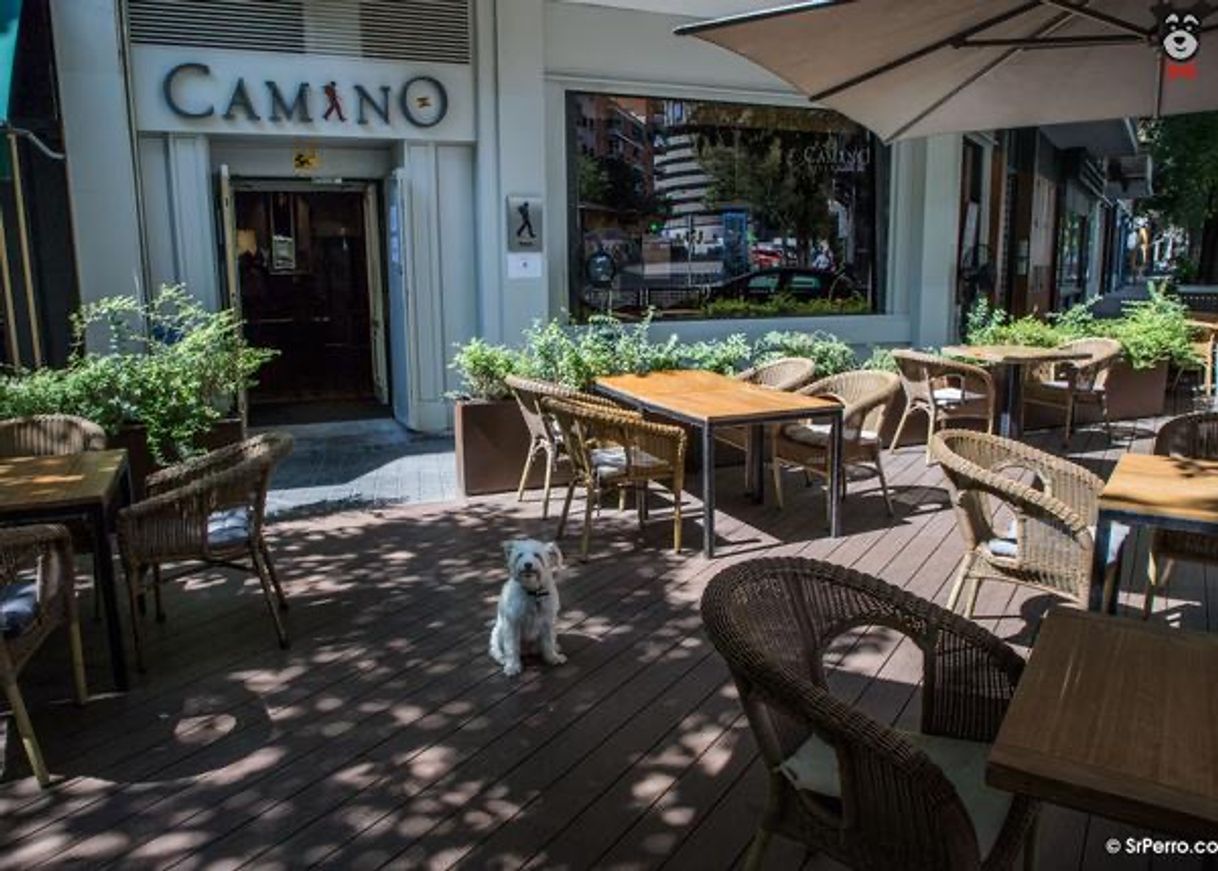 Place Camino