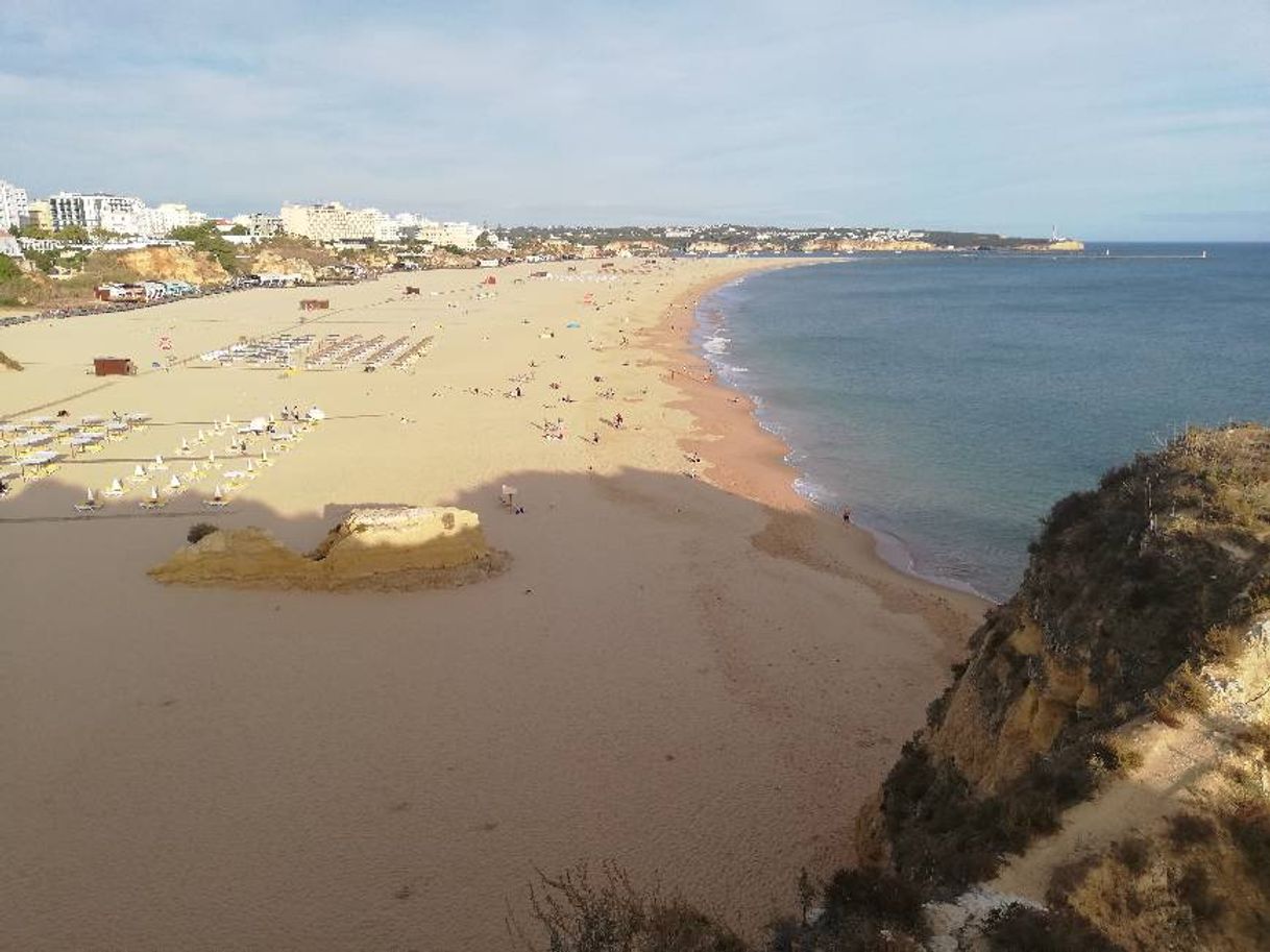 Place Praia da Rocha