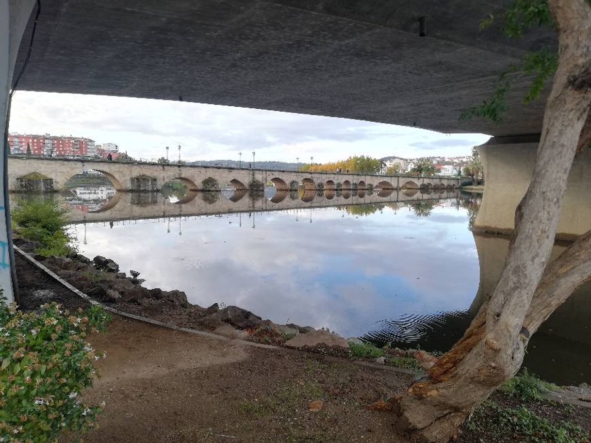 Place Mirandela