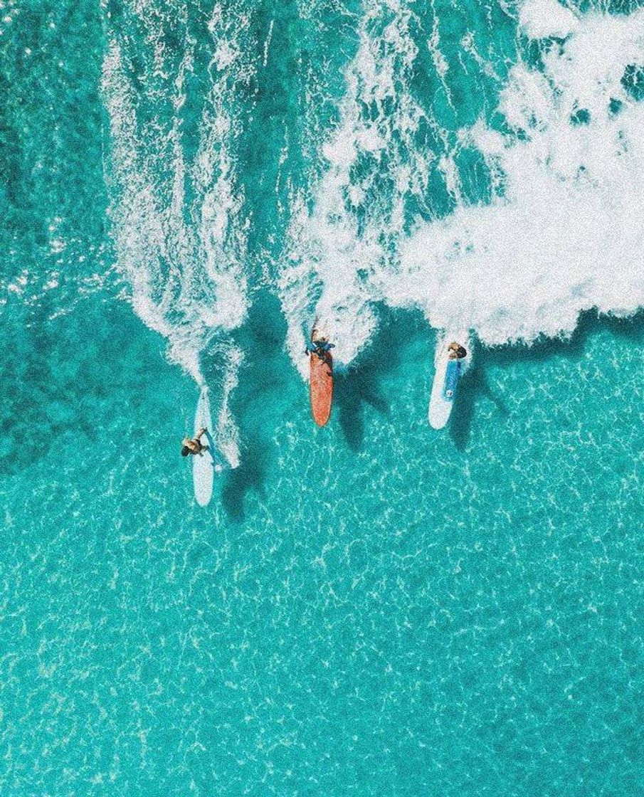 Social Wallpaper Surfboard