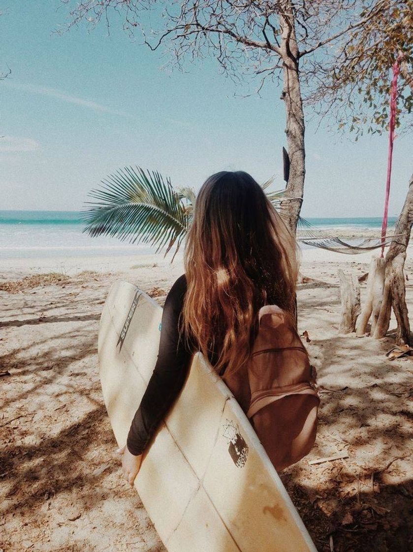 Social Wallpaper Surf