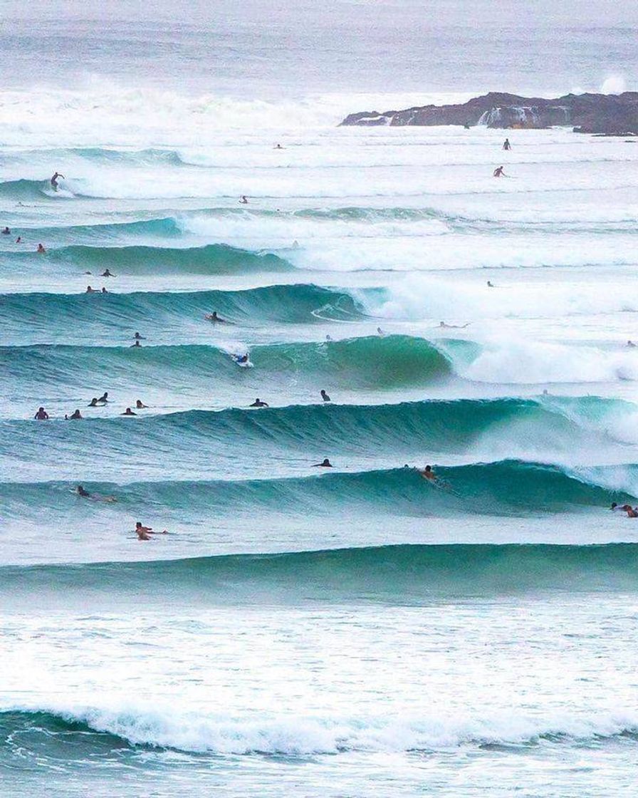 Social Wallpaper Surf Crowd