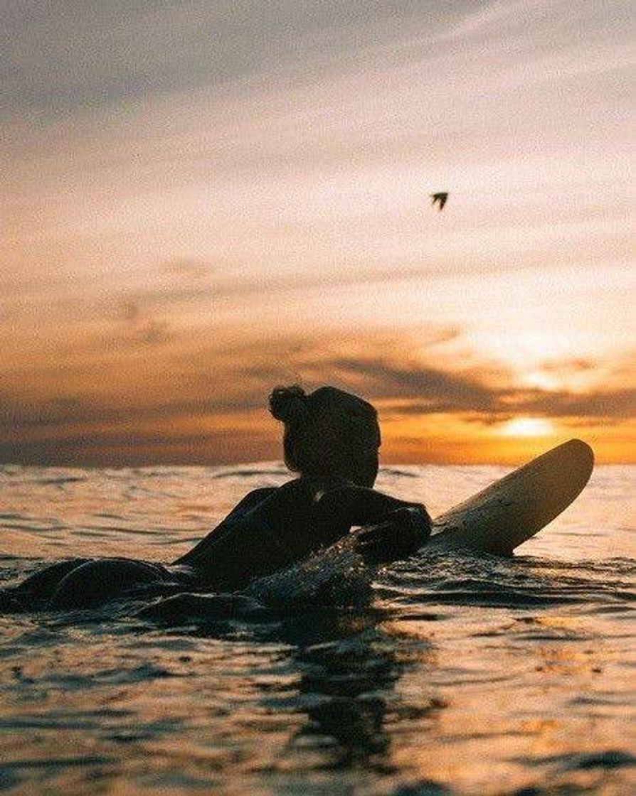Social Wallpaper Surf Girl