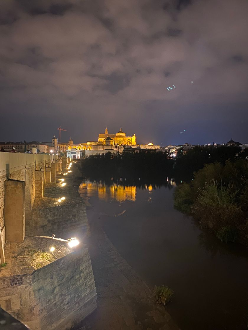 Lugar Puente Romano de Córdoba