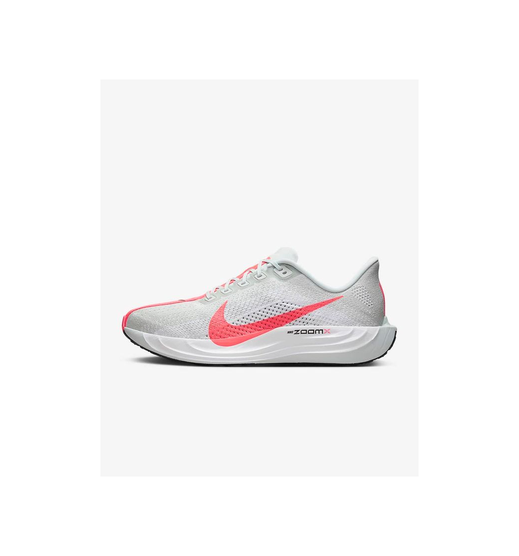 Social Nike Pegasus Plus