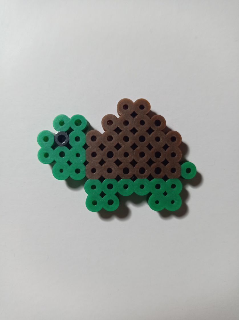 Social Tortuga