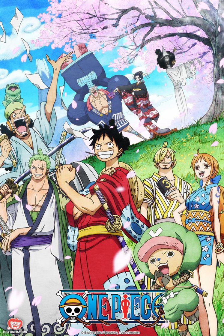 Serie ONE PIECE | Netflix