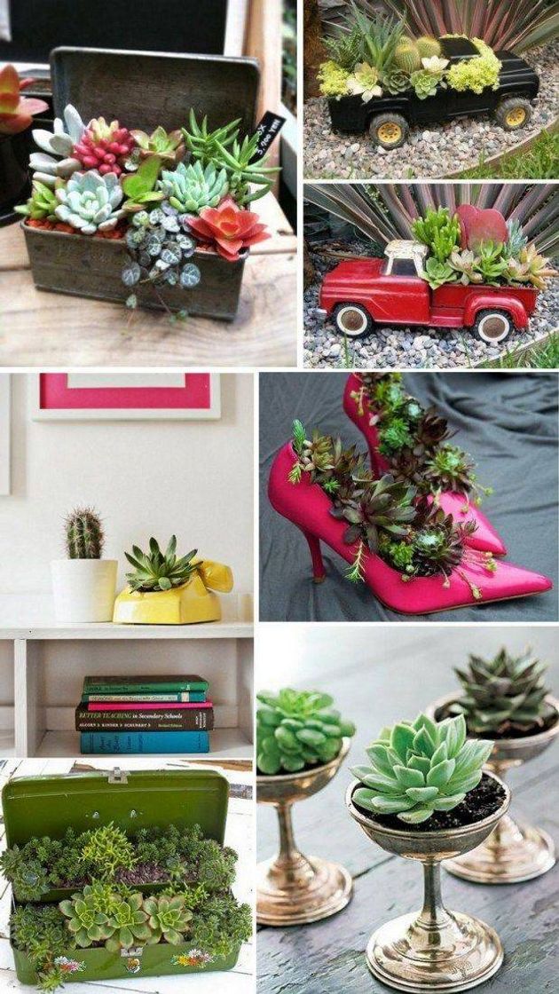 Moda Increíbles mini jardines 