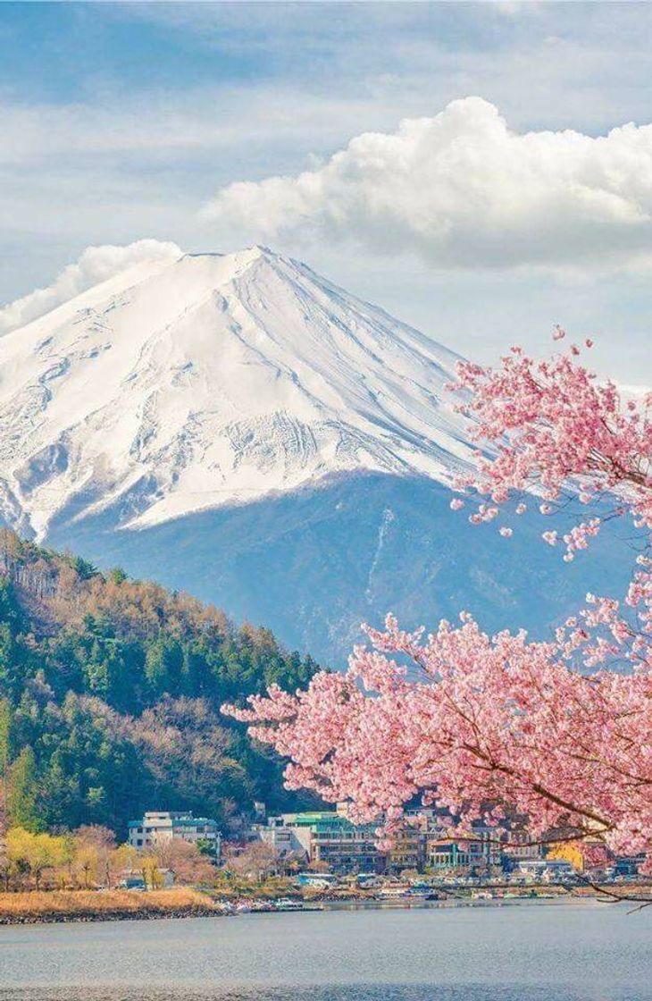 Lugar mount Fuji/Japan 