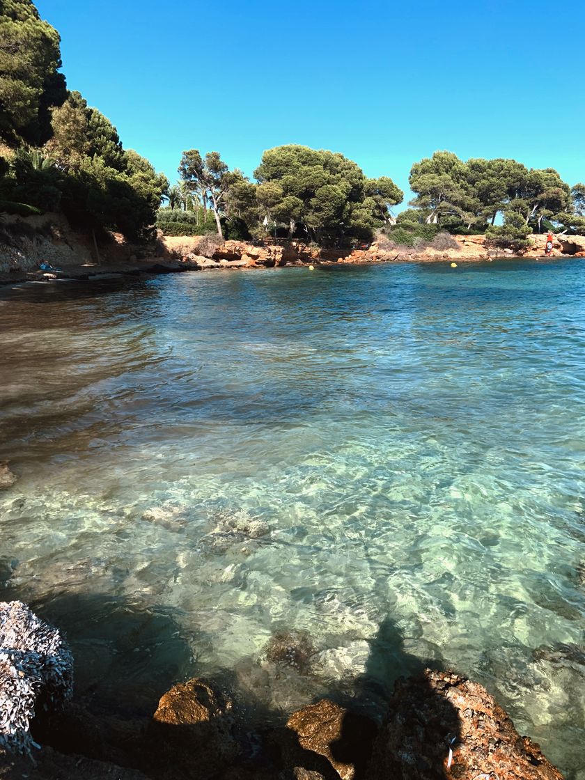 Place Playa Son Caliu