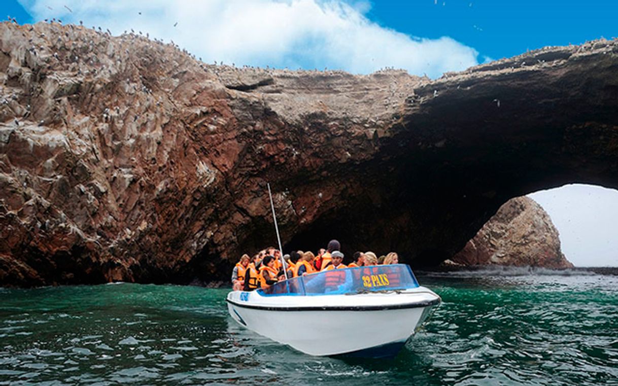 Lugar Islas Ballestas