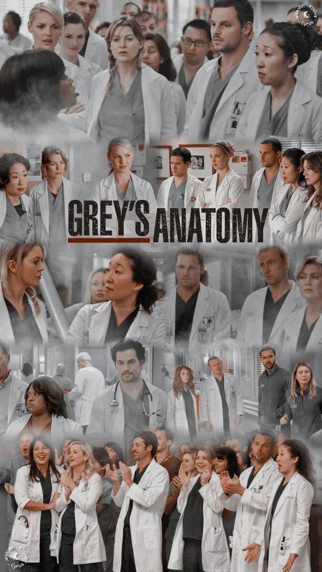 Serie 𓇽𝙶𝚛𝚎𝚢,𝚜 𝙰𝚗𝚊𝚝𝚘𝚖𝚢𓇽
