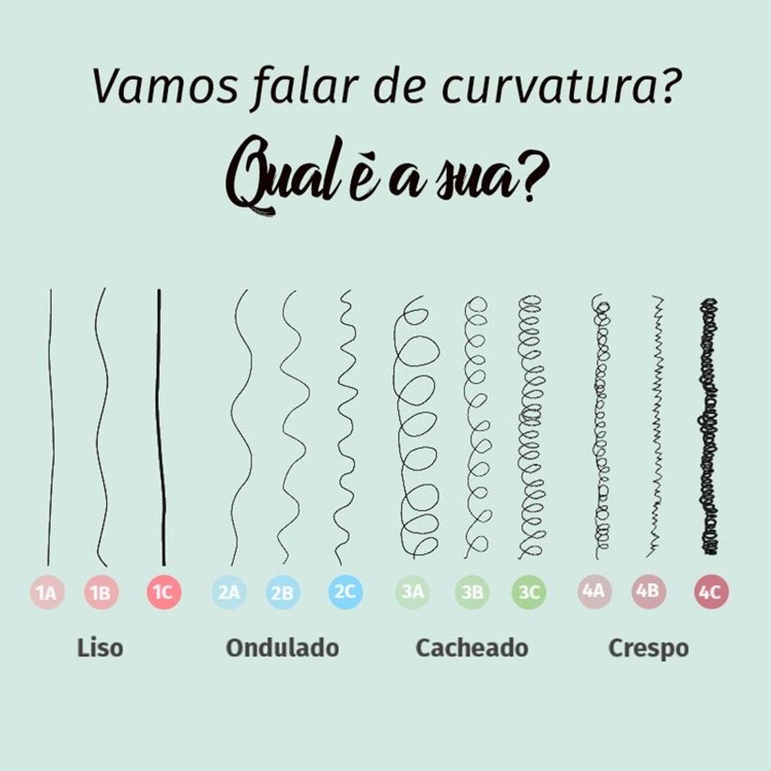 Moda curvatura 