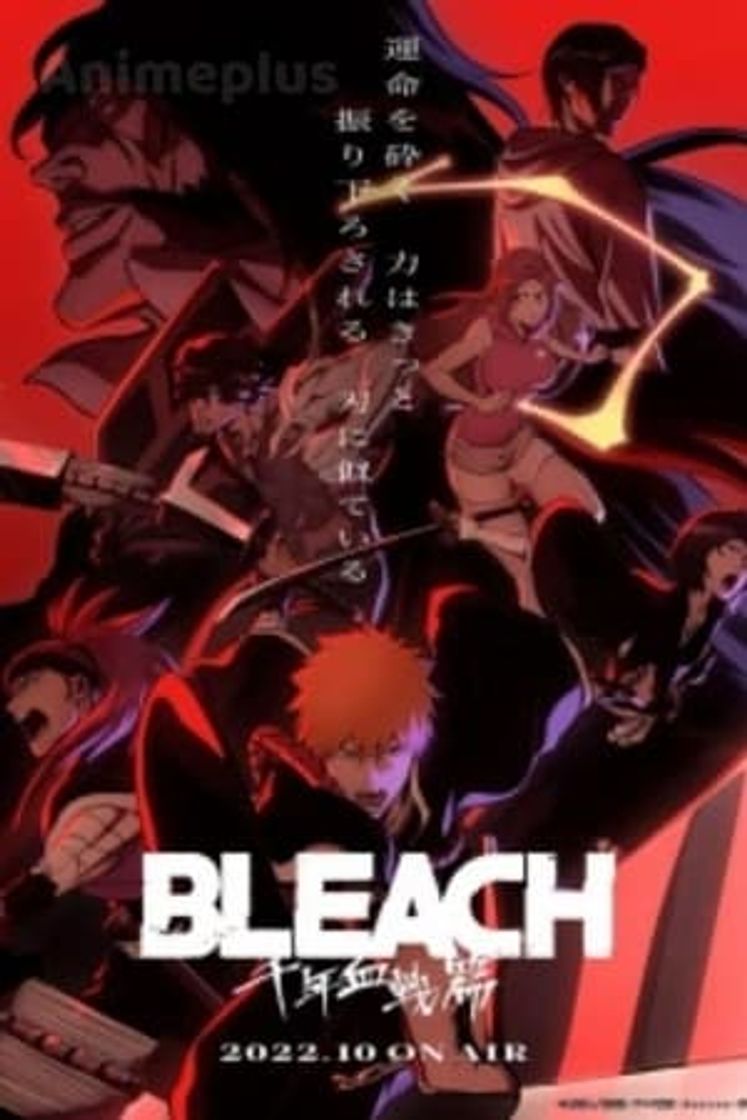 Serie Bleach