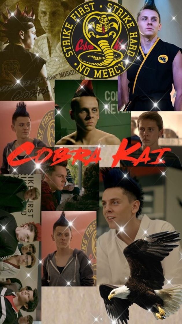 Fashion Cobra kai