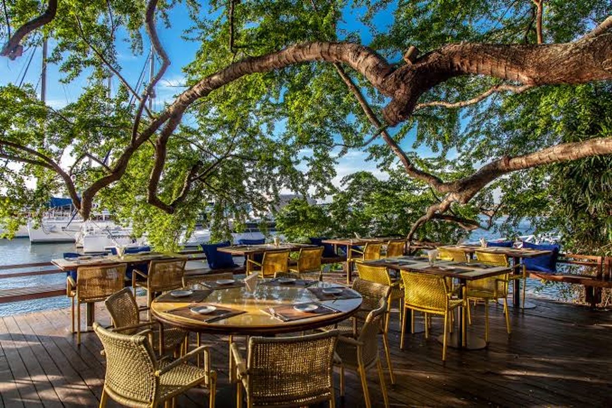 Restaurants Restaurante Lafayette