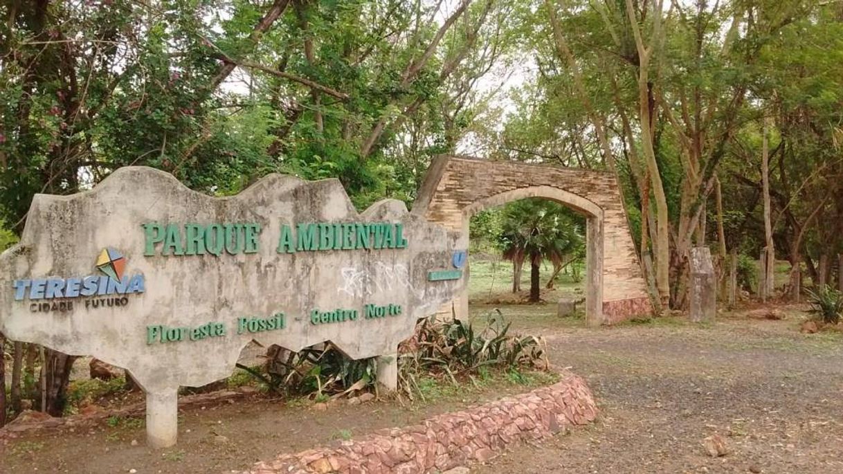 Place Parque da Cidade