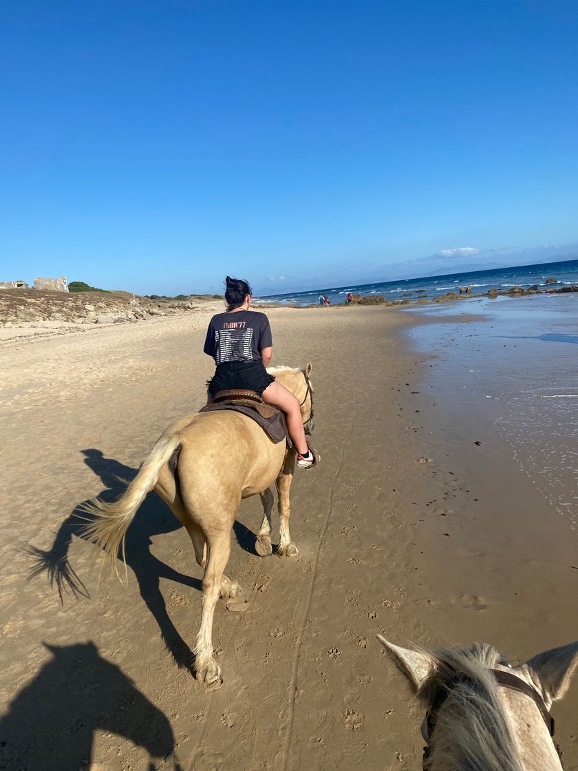 Moda Excursión a caballo puesta de sol Playa Bolonia 