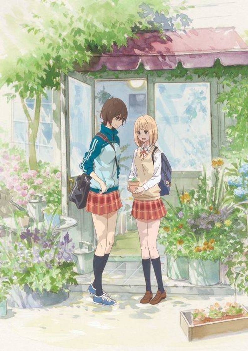 Serie Nome: ASAGAO TO KASE-SAN