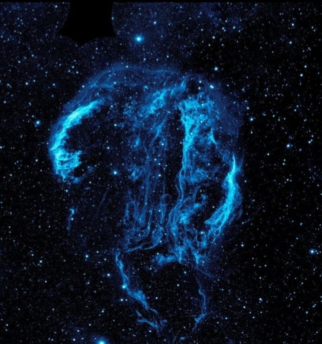 Social Wallpaper