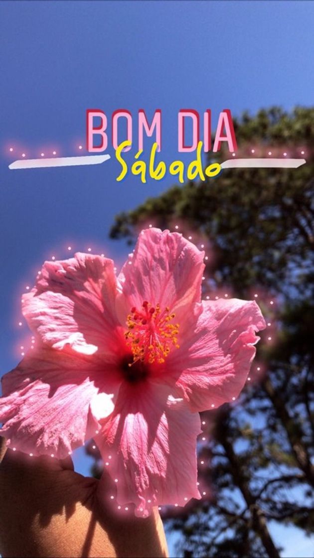 Moda Bom dia sabadão 