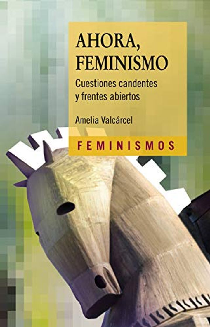 Libro Ahora, Feminismo: Cuestiones candentes y frentes abiertos