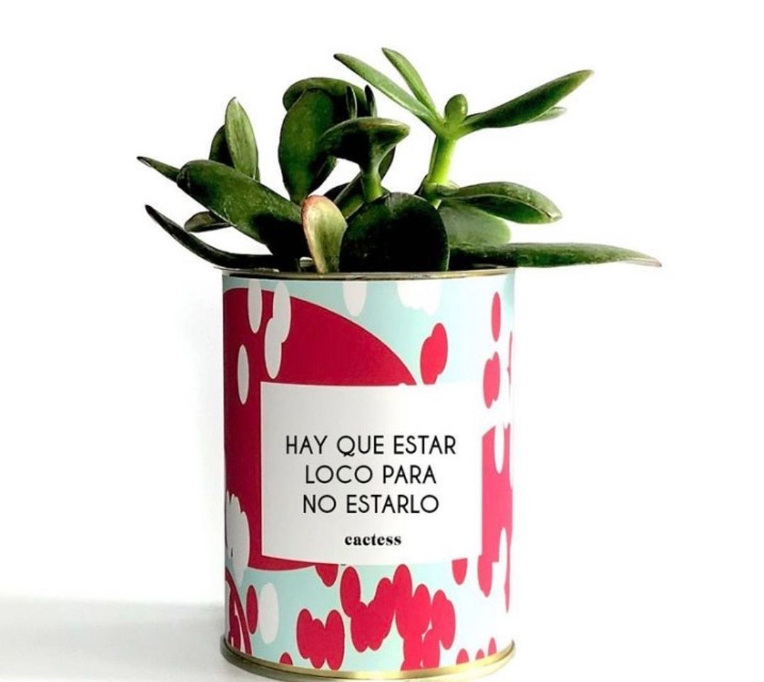 Fashion Plantas originales y personalizadas 🪴🌿