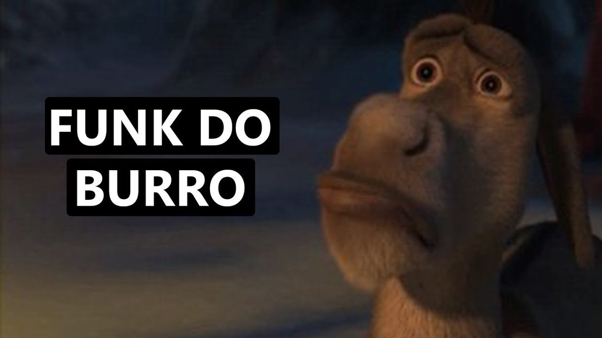 Canciones FUNK DO BURRO (SHREK) - LUANZERA