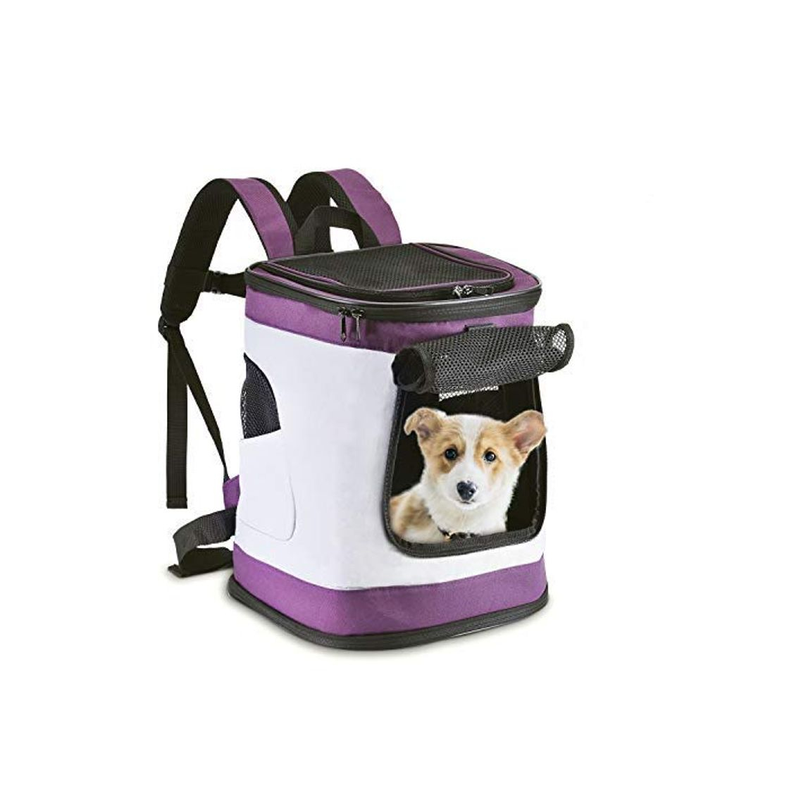 Fashion HAPPY HACHI Mochila Plegable para Perros Gatos Transporte para Perro Bolso Transportín Viaje con Correa Relleno Ajustable Camiseta Transpirable Morado