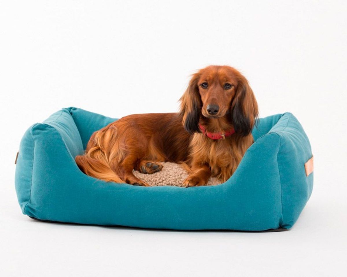 Product Cama para mascotas Due Punto Otto