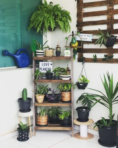 Prateleira para plantas: 25 ideias + tutoriais para uma casa cheia de ...