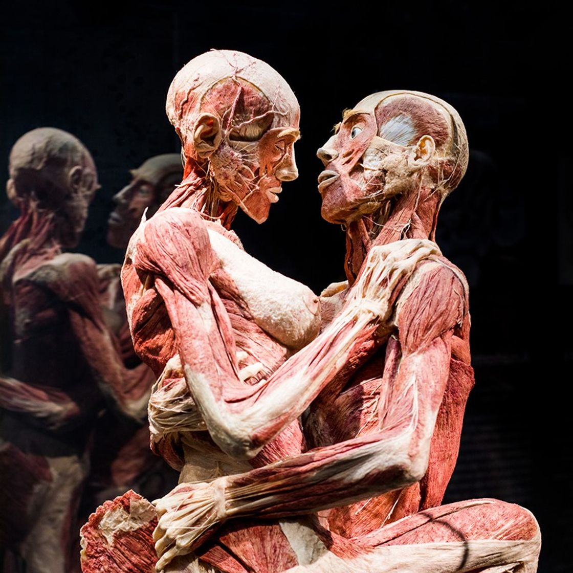 Lugar Body Worlds