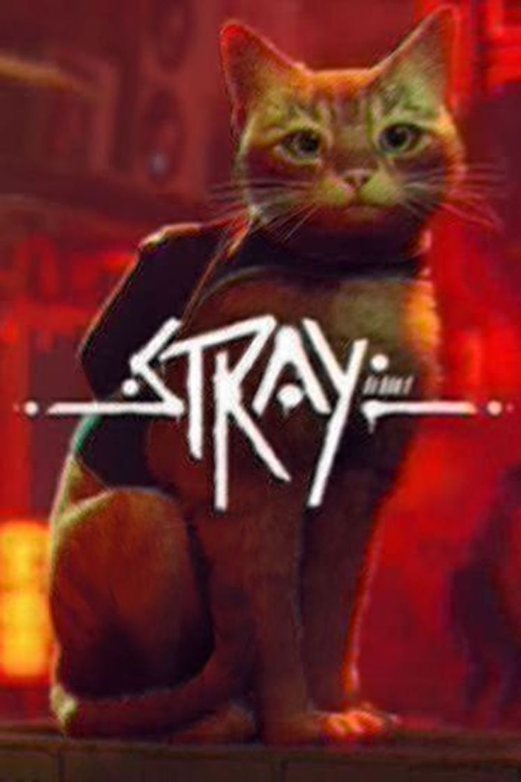 Videogames Stray - El gato callejero