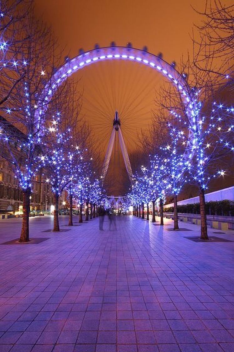 Moda London Eye 