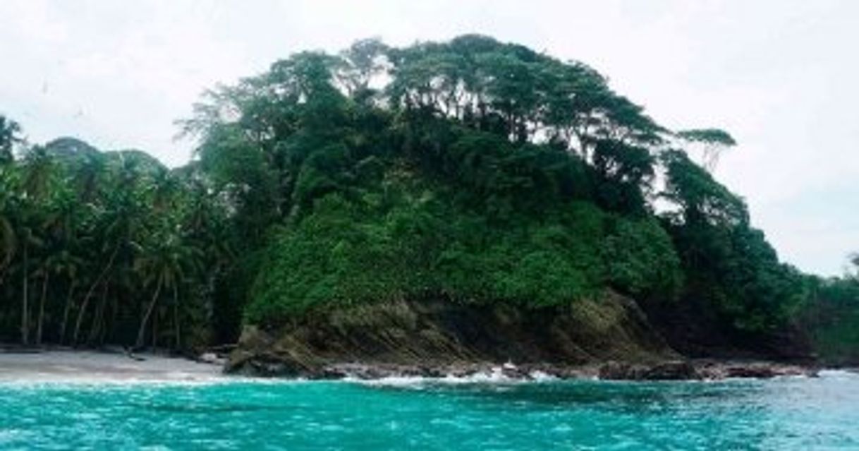 Lugar Isla Gorgona