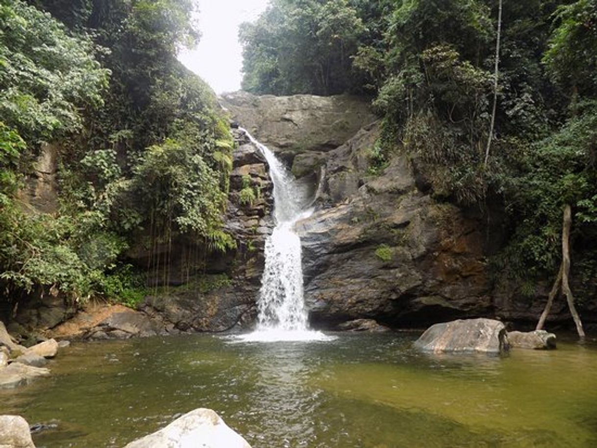 Lugar Cachoeiras de Macacu