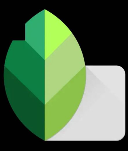 Snapseed - Apps on Google Play