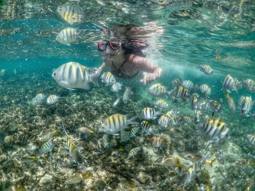 Porto de Galinhas